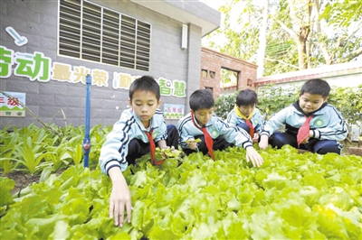 2021年全国十大教育新闻