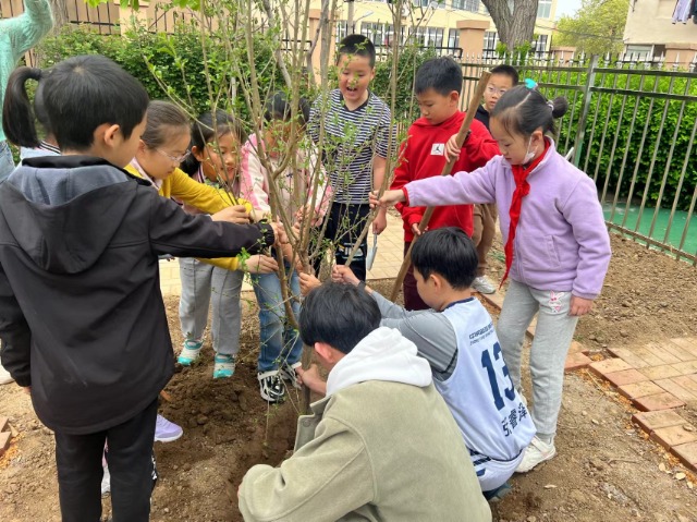 青岛上清路小学：中草药文化“种”进校园