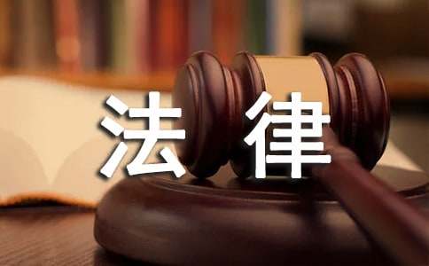 法律伴我成长六年级作文