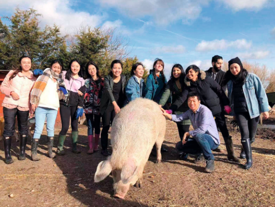 伦敦政治经济学院：连接中国与世界的学术桥梁