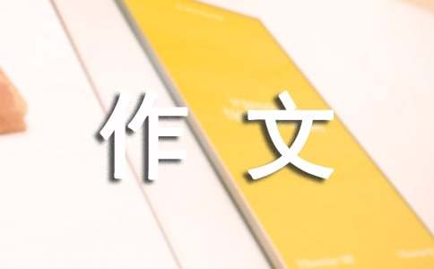 难忘五年级的同伴作文